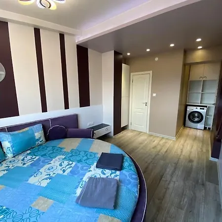 Modern 1br With Hill View & Free Street Parking Apartment